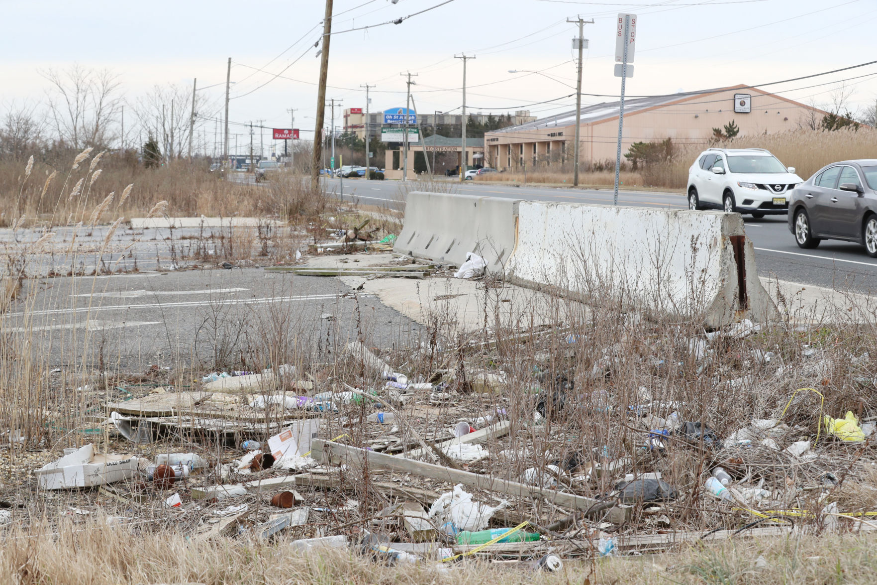 012819_nws_blight